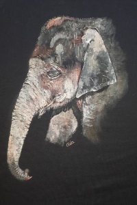 tshirtelephantnoi3