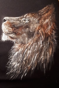 tshirtlion2