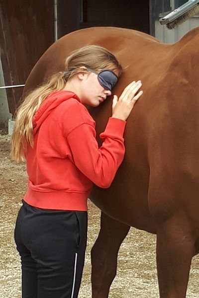 Therapie avec le cheval en liberté ressentir le cheval