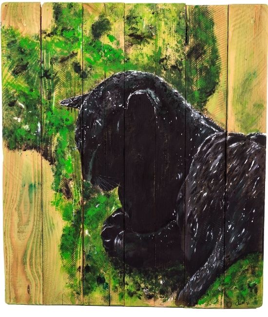 Creations toiles bois panthere noire sous la pluie