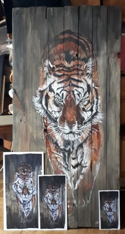 dernieres nouvelles reproductions papier tigre